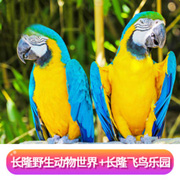 广州长隆野生动物世界门票+飞鸟乐园门票套票预订