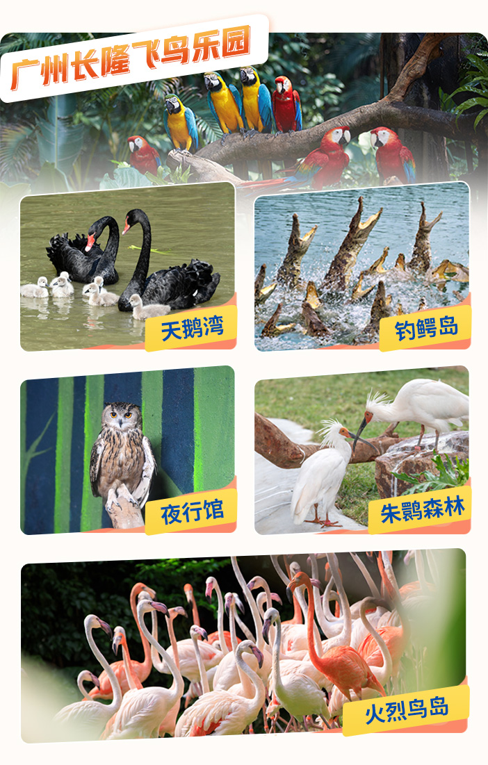 广州长隆酒店+野生动物世界门票在线预订
